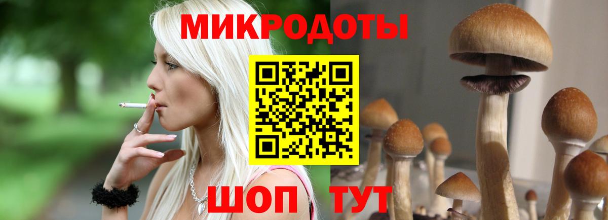 Псилоцибиновые грибы Cubensis  Вход с VPN  Кызыл 